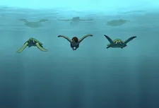 Michaël Dudok de Wit: "I grew up with lots of animals and I looked after them. I'm a vegetarian."